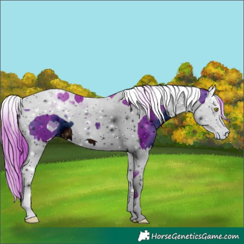 Horse Color:ERROR: UNKNOWN ANOMALY