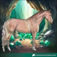 Horse Color:Silver Brown Ice Dun 