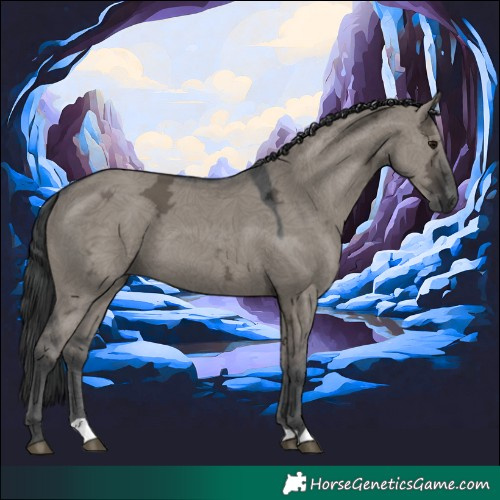 Horse Color:Grullo Ice 