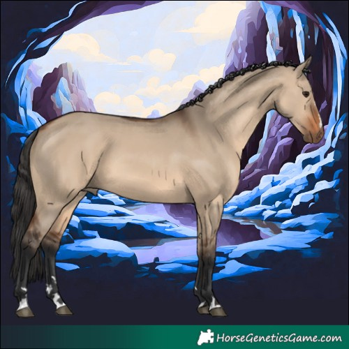 Horse Color:Brown Dun 