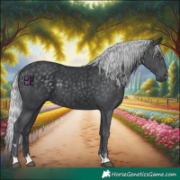 Horse Color:Silver Black Chinchilla