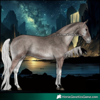 Horse Color:Void Platinum Silver Blue Onyx