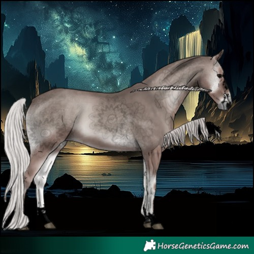 Horse Color:Void Platinum Silver Blue Onyx 