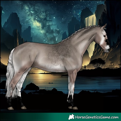 Horse Color:Void Platinum Silver Blue Onyx 