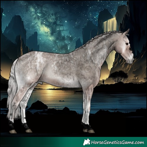 Horse Color:Void Platinum Silver Blue Onyx Ice 