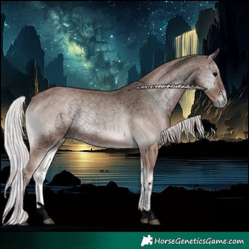 Horse Color:Void Platinum Silver Blue Onyx 