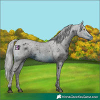 Horse Color:ERROR: UNKNOWN ANOMALY