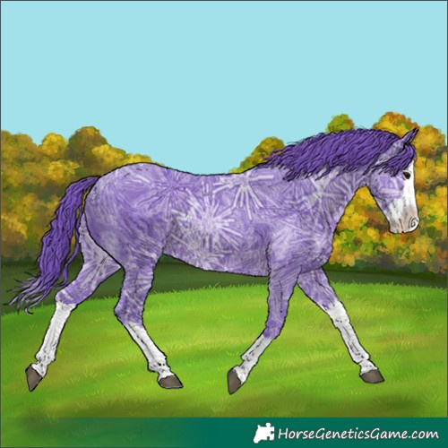 Horse Color:Watercolor Smoky Black Ice Splash 