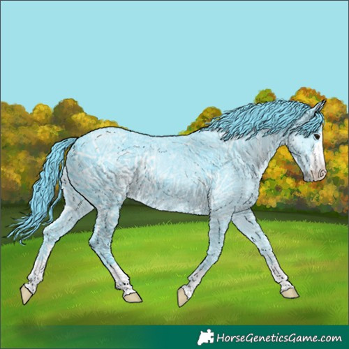 Horse Color:Watercolor Black Ice 