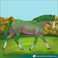 Horse Color:Watercolor Brown 