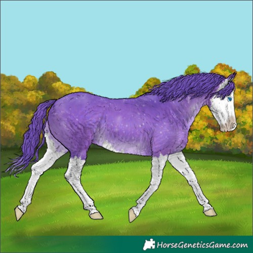 Horse Color:Watercolor Brown Splash 