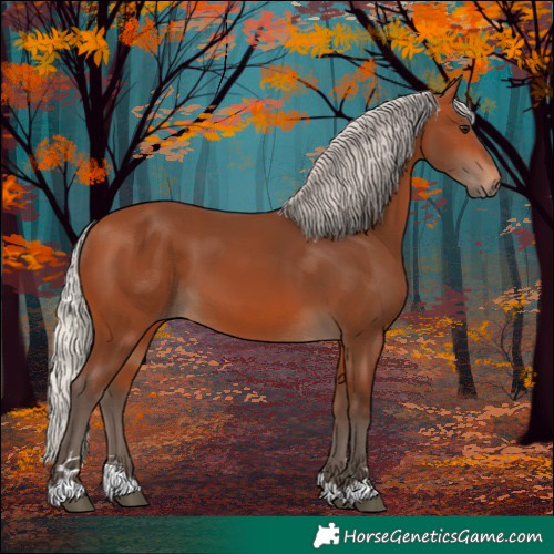 Horse Color:Silver Bay 