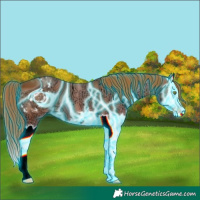 Horse Color:ERROR: UNKNOWN ANOMALY