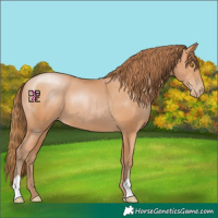 Horse Color:Bay Pearl 