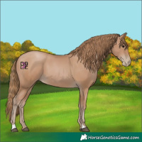 Horse Color:Black Pearl