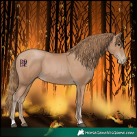 Horse Color:Black Pearl 