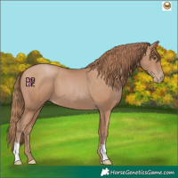 Horse Color:Black Pearl