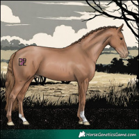 Horse Color:Black Pearl