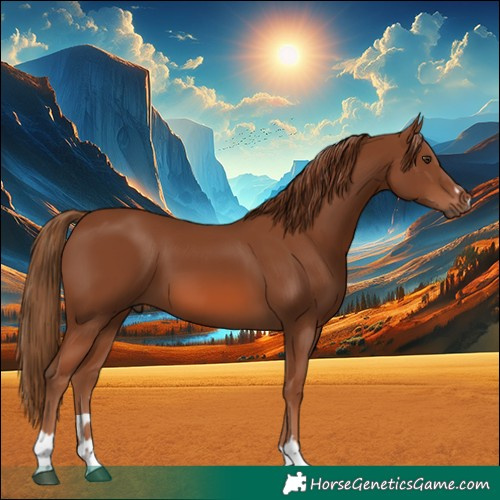 Horse Color:Chestnut 