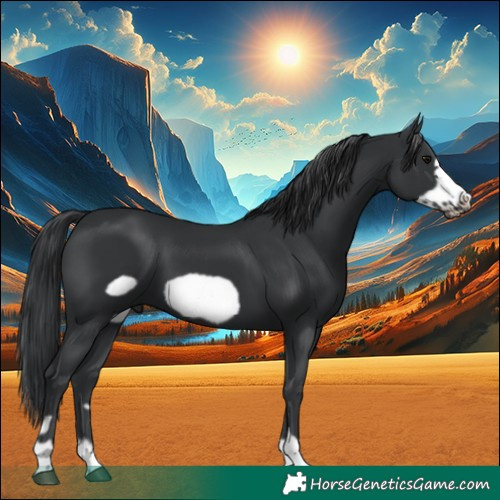 Horse Color:Black Frame 