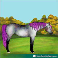 Horse Color:Gray Void Painted Nacre Smoky Black Tobiano 
