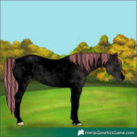 Horse Color:Void Painted Black Ice Tobiano Varnish 