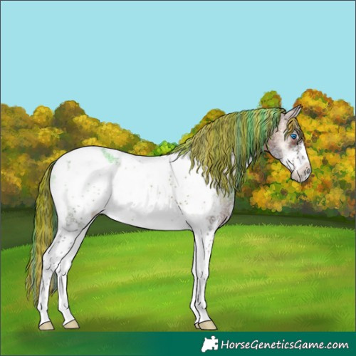 Horse Color:Painted Brown Onyx Sabino Tobiano Frame
