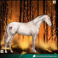 Horse Color:Sable Champagne Pearl Mushroom Tobiano 