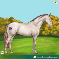 Horse Color:Sable Champagne Pearl Mushroom Tobiano