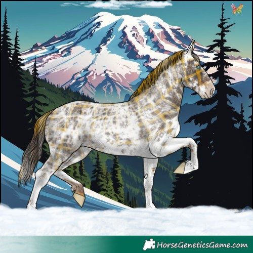 Horse Color:Plaid  White Spotted Liver Chestnut Ice Splash 