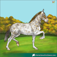 Horse Color:Plaid  White Spotted Liver Chestnut Ice Splash 