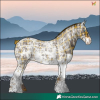 Horse Color:Plaid White Spotted Liver Chestnut Ice Splash