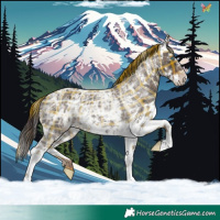 Horse Color:Plaid  White Spotted Liver Chestnut Ice Splash 