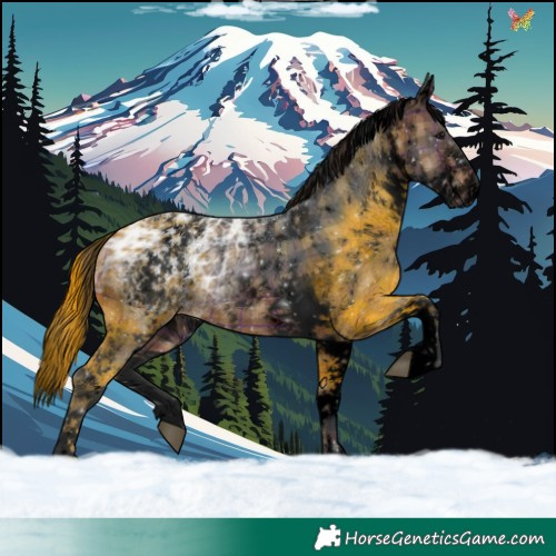 Horse Color:Void Plaid  White Spotted Brown Ice 