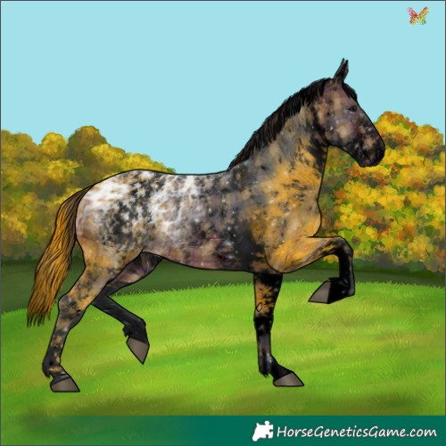 Horse Color:Void Plaid  White Spotted Brown Ice 