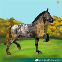 Horse Color:Void Plaid  White Spotted Brown Ice 