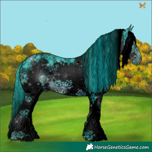 Horse Color:Void Watercolor White Spotted Smoky Black Splash 