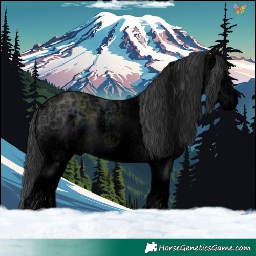Horse Color:Void White Spotted Midnight Black Ice 