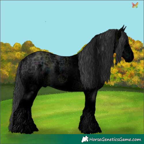 Horse Color:Void White Spotted Midnight Black Ice 