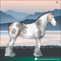Horse Color:White Spotted Buckskin 