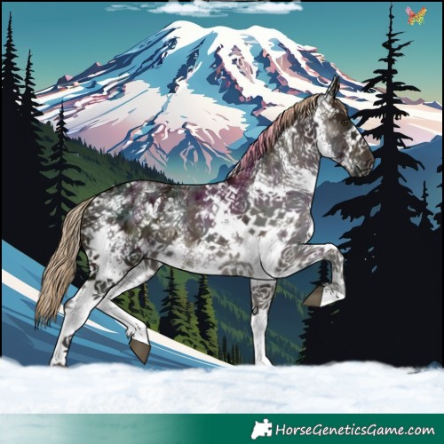 Horse Color:White Spotted Midnight Chocolate Palomino Ice 