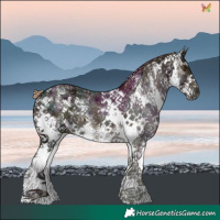Horse Color:White Spotted Midnight Chocolate Palomino Ice 
