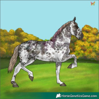 Horse Color:White Spotted Midnight Chocolate Palomino Ice 