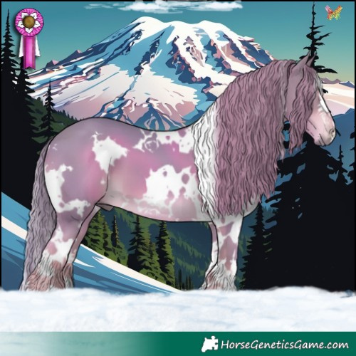 Horse Color:Watercolor White Spotted Liver Chestnut 
