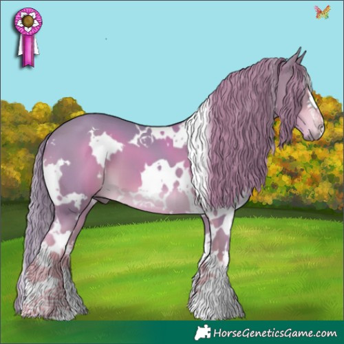 Horse Color:Watercolor White Spotted Liver Chestnut 
