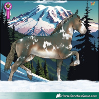 Horse Color:Watercolor White Spotted Liver Chestnut 