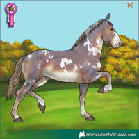 Horse Color:Watercolor White Spotted Liver Chestnut 