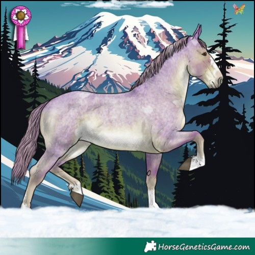 Horse Color:Watercolor Liver Red Roan 