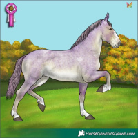 Horse Color:Watercolor Liver Red Roan