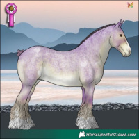 Horse Color:Watercolor Liver Red Roan 